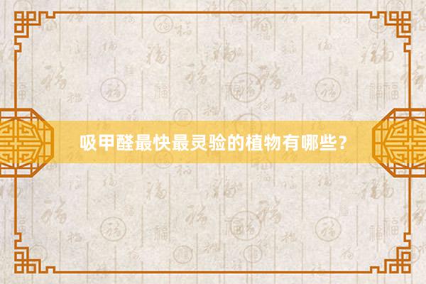吸甲醛最快最灵验的植物有哪些？